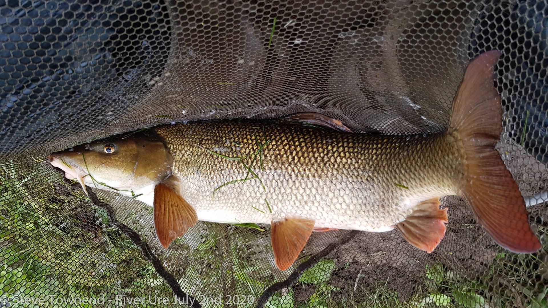 8lb 10oz Barbel