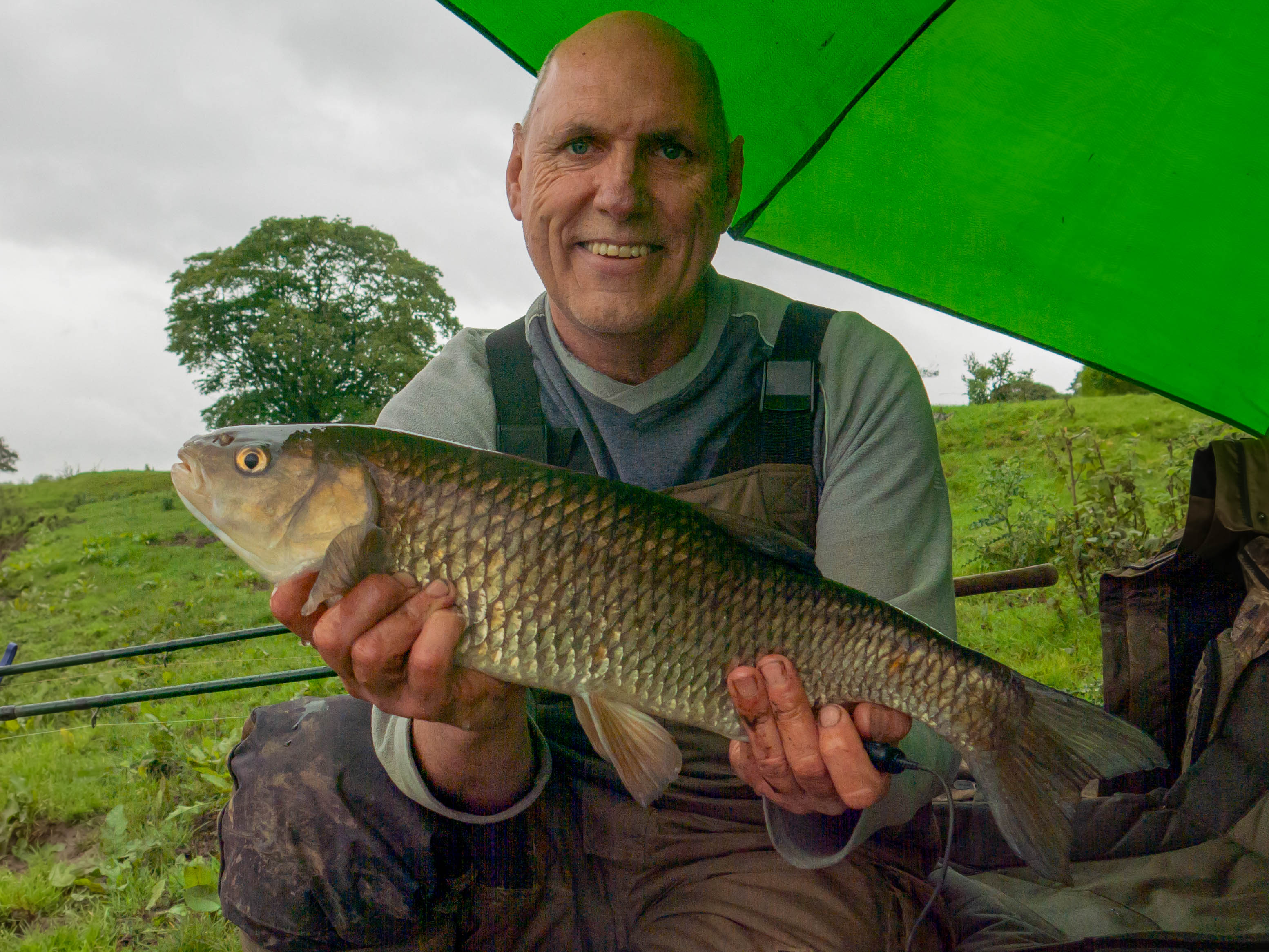 4lb Chub