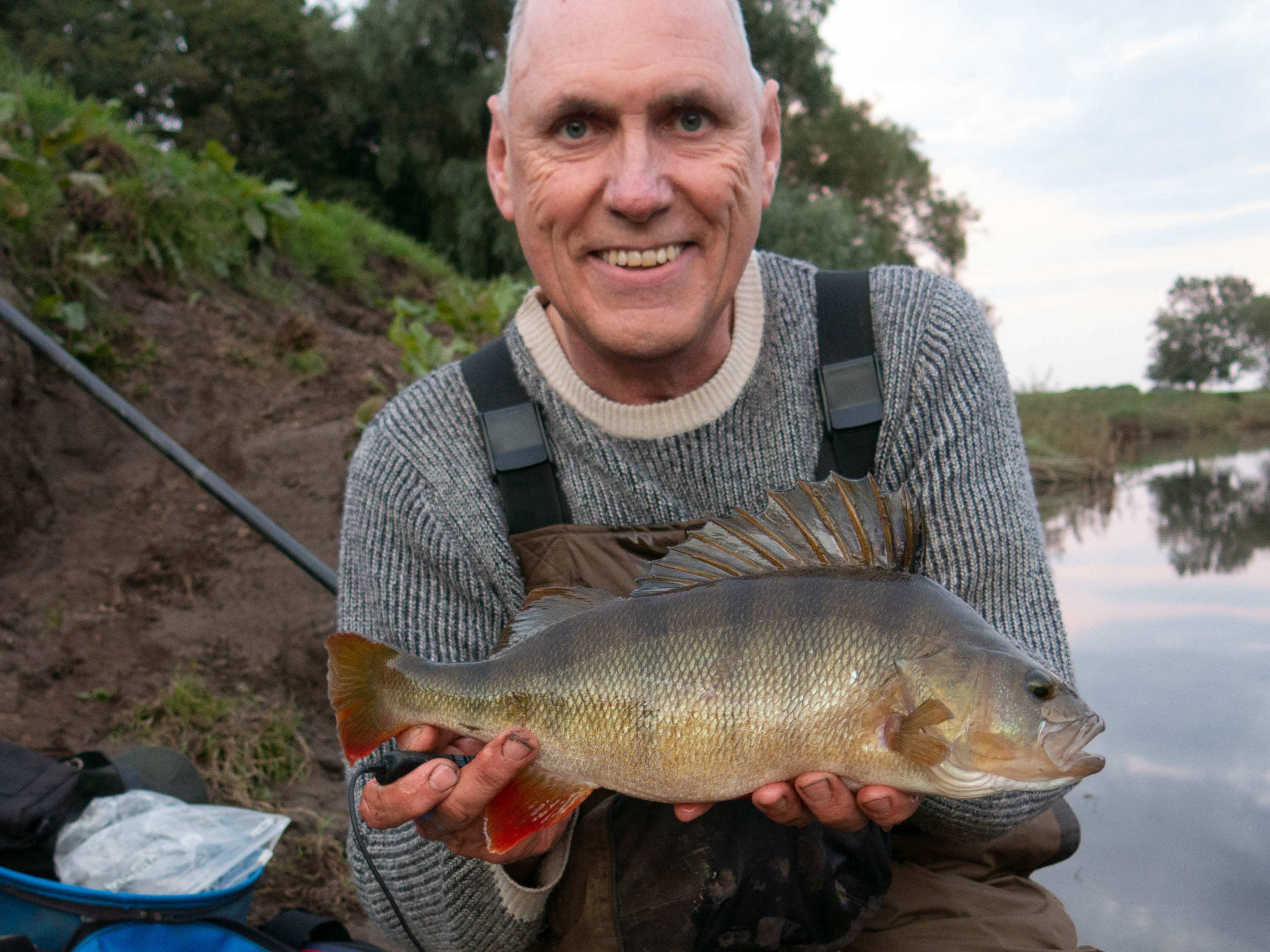 2lb 8oz Perch